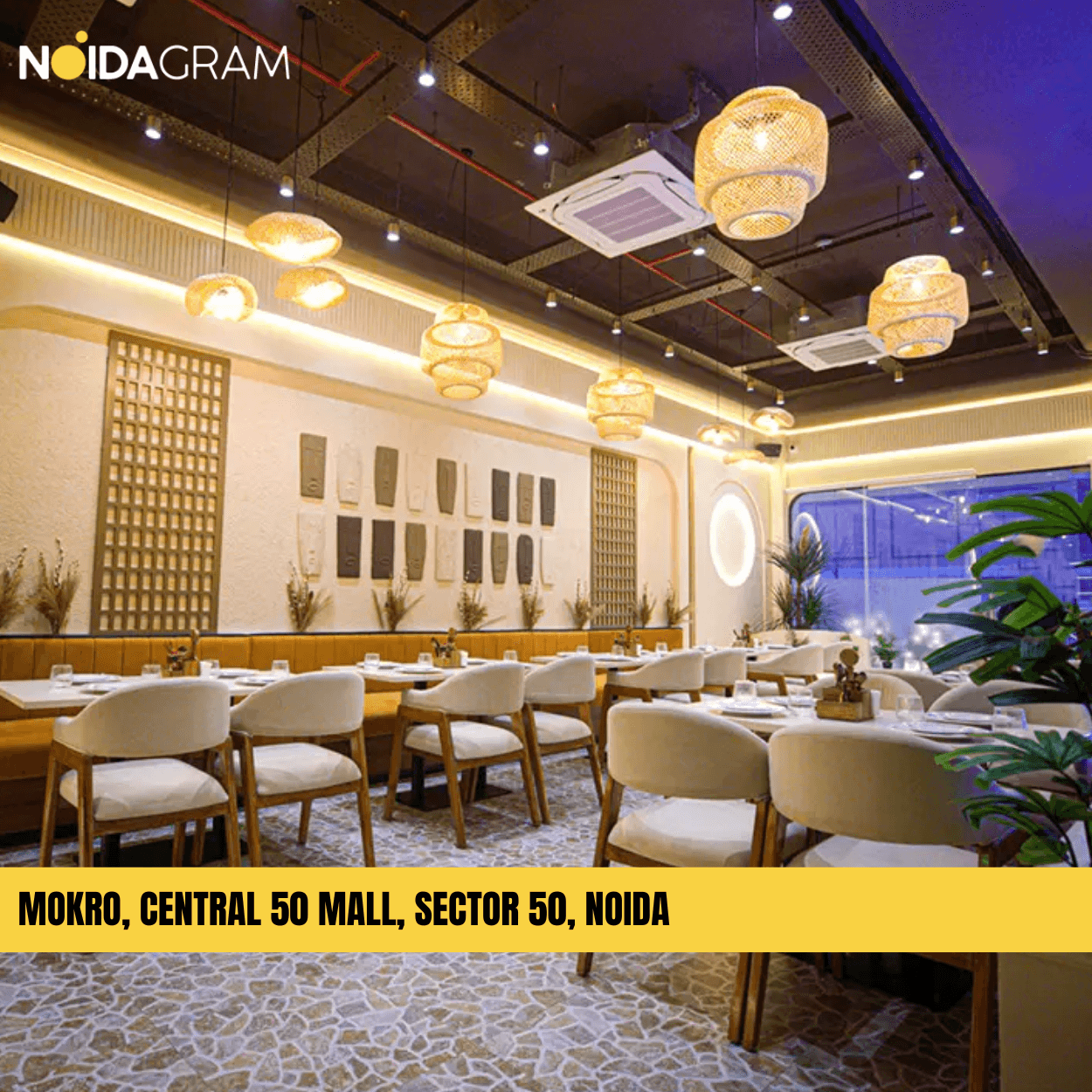 Mokro interior in Noida